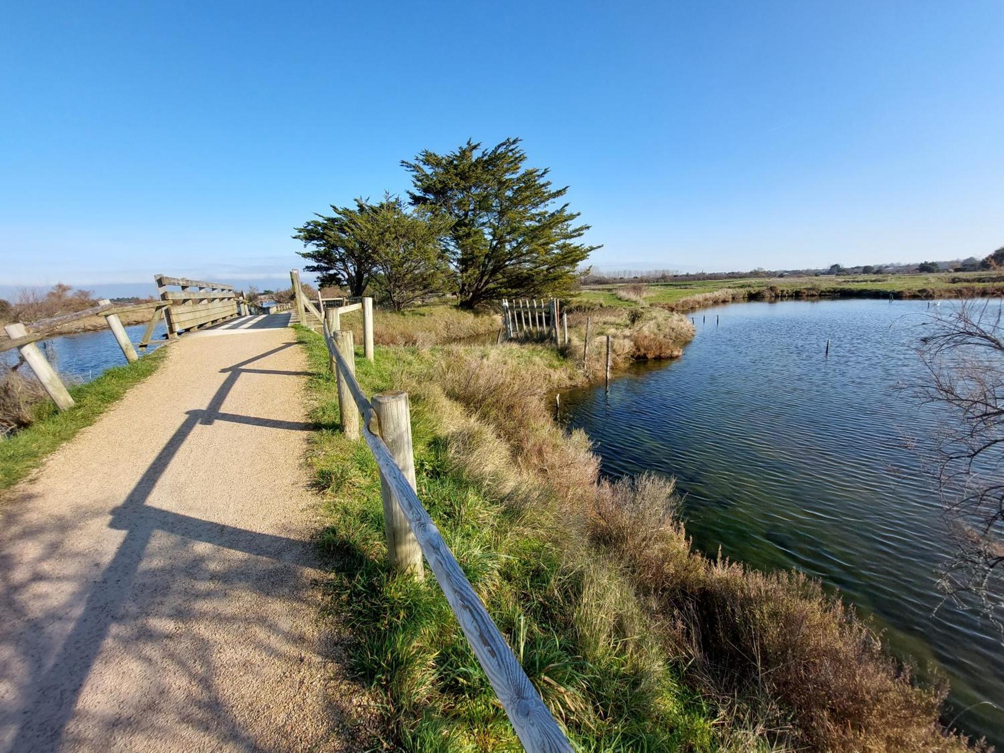 Studio La Salicorne Au Sables D'Olonne Les Sables-dʼOlonne Екстериор снимка